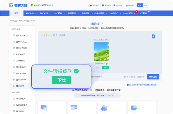 图片转TIF在线工具 步骤3 预览下载 可在线预览TIF并下载TIF图像。