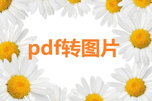 PDF文件怎样转图片