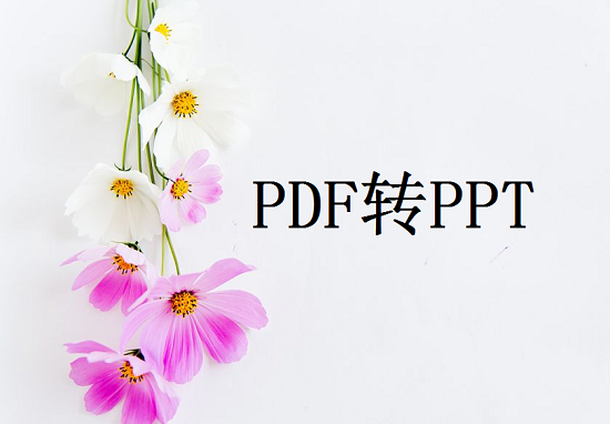 怎么转PDF为PPT
