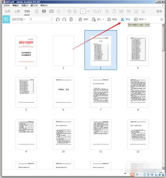 使用Adobe Acrobat Pro步骤二