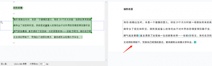 使用OCR识别软件步骤三