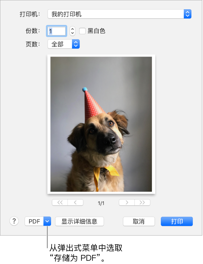 使用 Windows / macOS 系统自带的 “打印” 功能步骤三