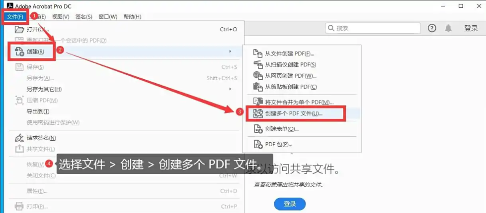 专业桌面软件(Adobe Acrobat DC 等)步骤二