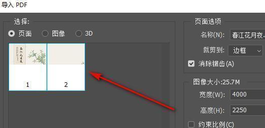 使用专业图像处理软件(质量可控之选)步骤二
