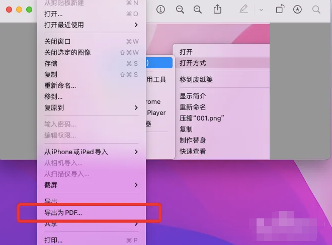 使用 Mac 系统的“预览”程序（苹果用户首选）步骤二