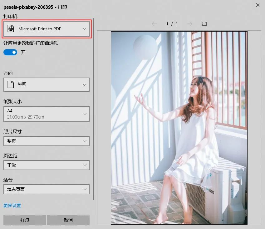 使用 Windows 系统内置的“打印”功能（最通用）步骤二