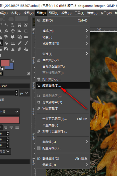 GIMP免费开源工具(专业级·零成本)步骤二