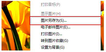 图片格式优化术（转换前预处理）步骤二