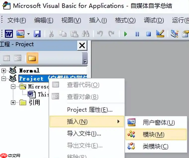 使用Microsoft Word内置功能+VBA宏实现批量转换步骤二