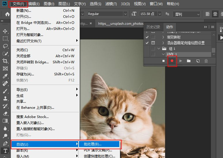 使用专业图像处理软件步骤二