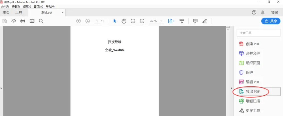 Adobe Acrobat Pro是PDF格式的